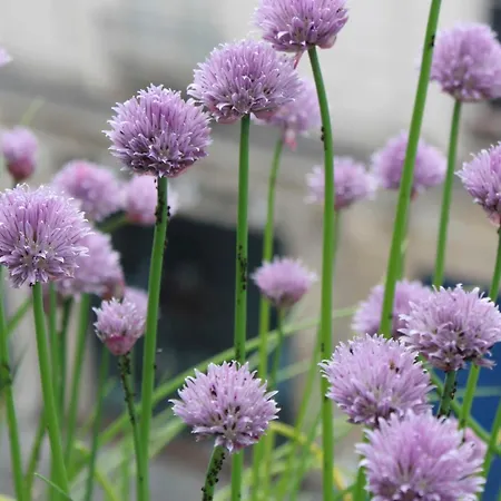 20 M Cocoon In The Heart Of The Marais Parijs